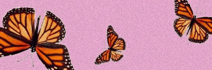 SHOPAHOLIC_LIN's profile banner image