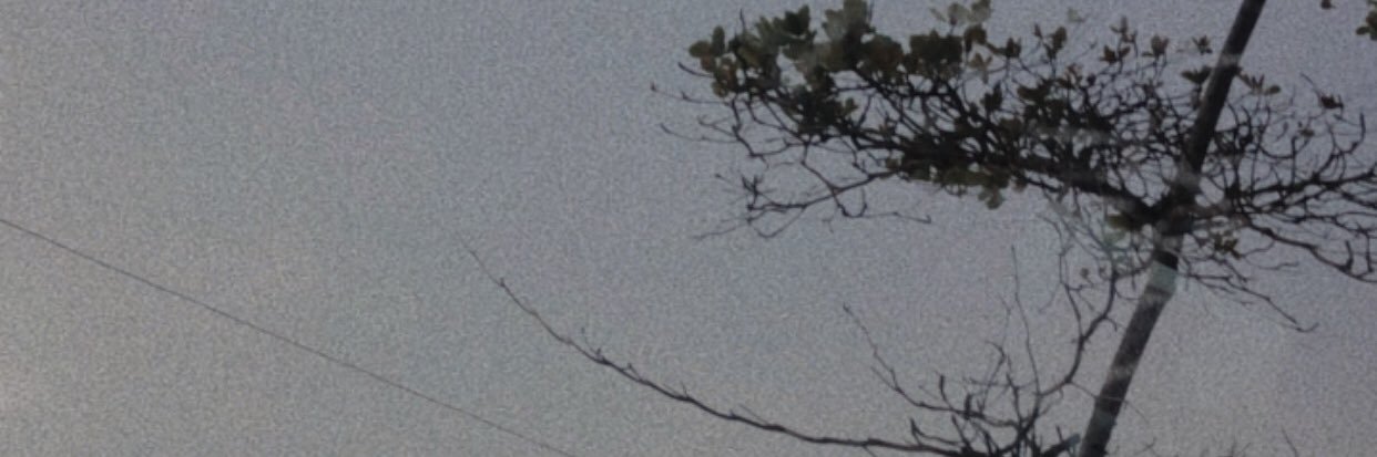 Saasaamicinn's profile banner image