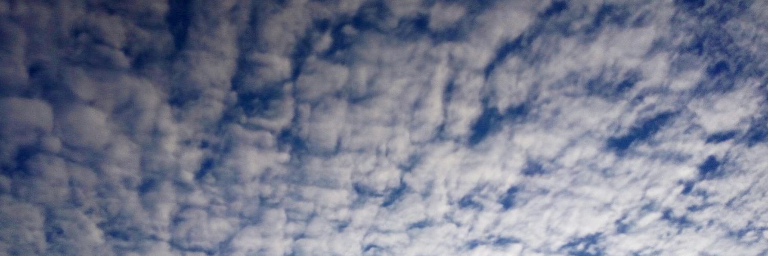 applendog's profile banner image
