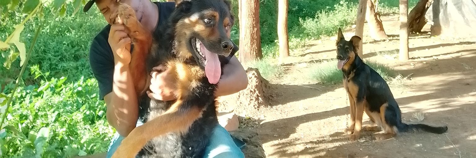 kitla has not.. 🐾 banner