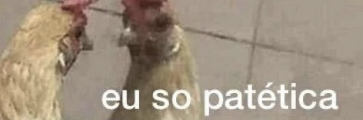psmarilinha's profile banner image