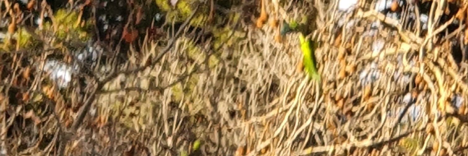 Andreu_FE's profile banner image