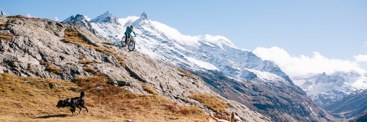 SaskiaDugon's profile banner image