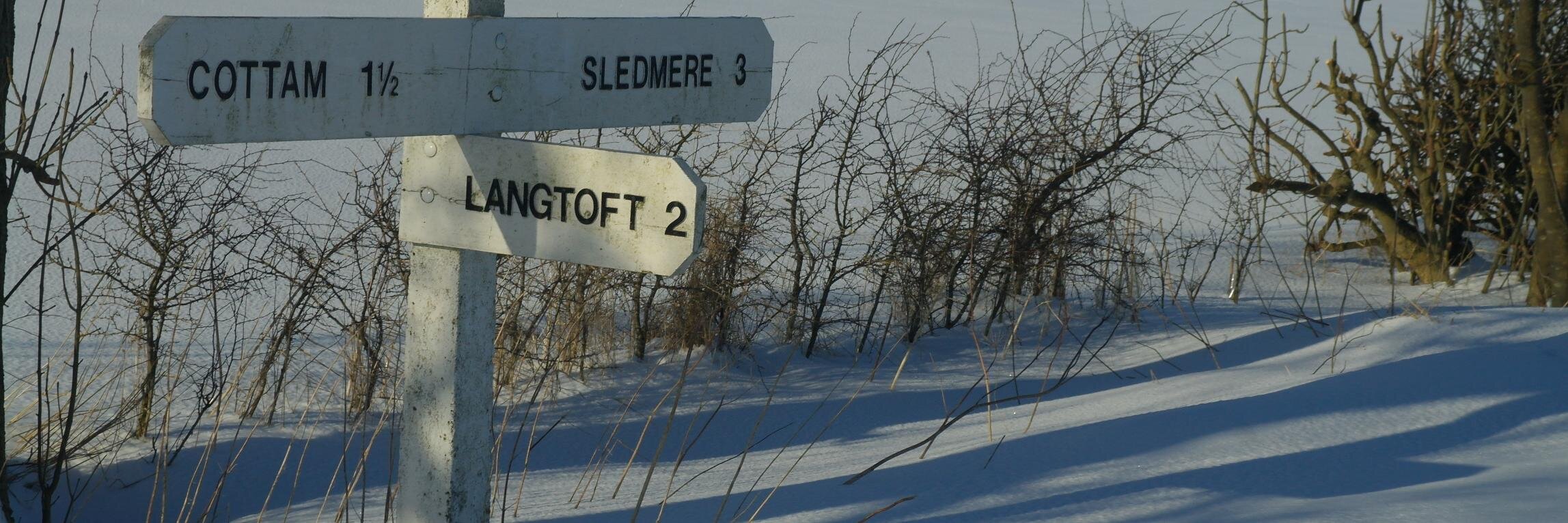 woldsowl's profile banner image