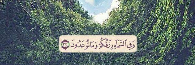 GhadaMagdy's profile banner image