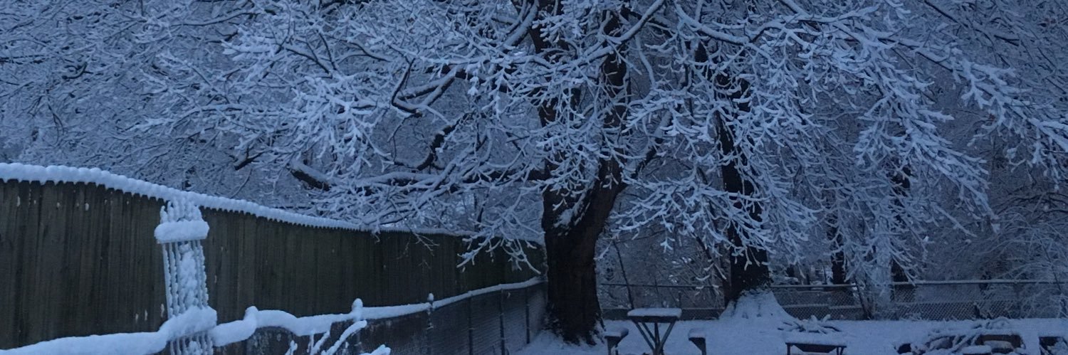 KellyCrowder4's profile banner image