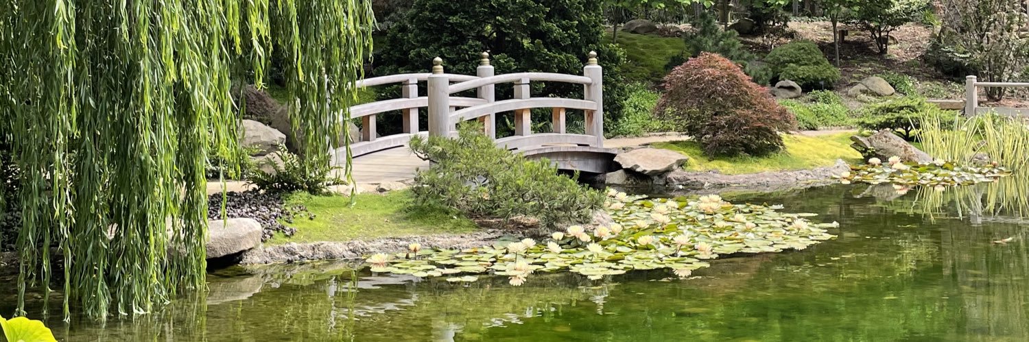 Stacey Bailey banner