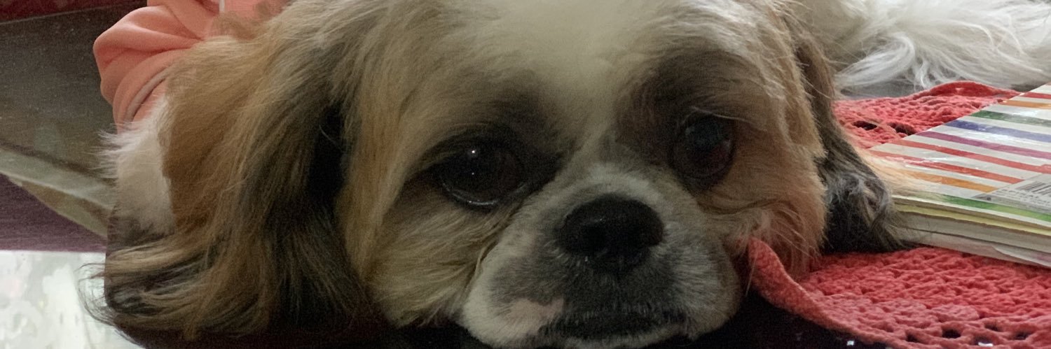 ytsergrazielle's profile banner image