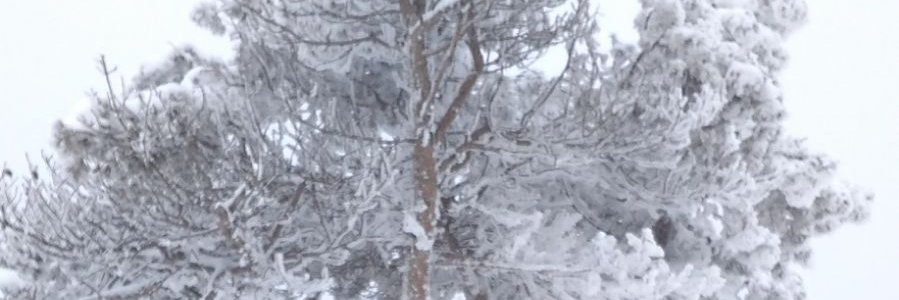 seyyidsisman's profile banner image
