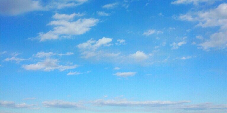 shion_cc's profile banner image
