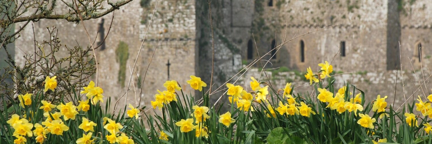 ManorbierCastle's profile banner image