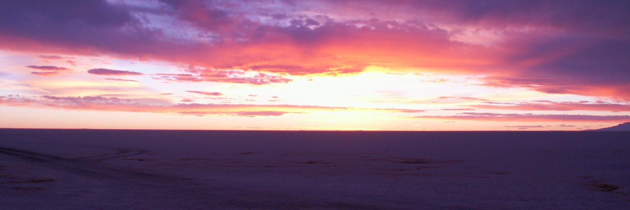 Alejandro Nesman banner