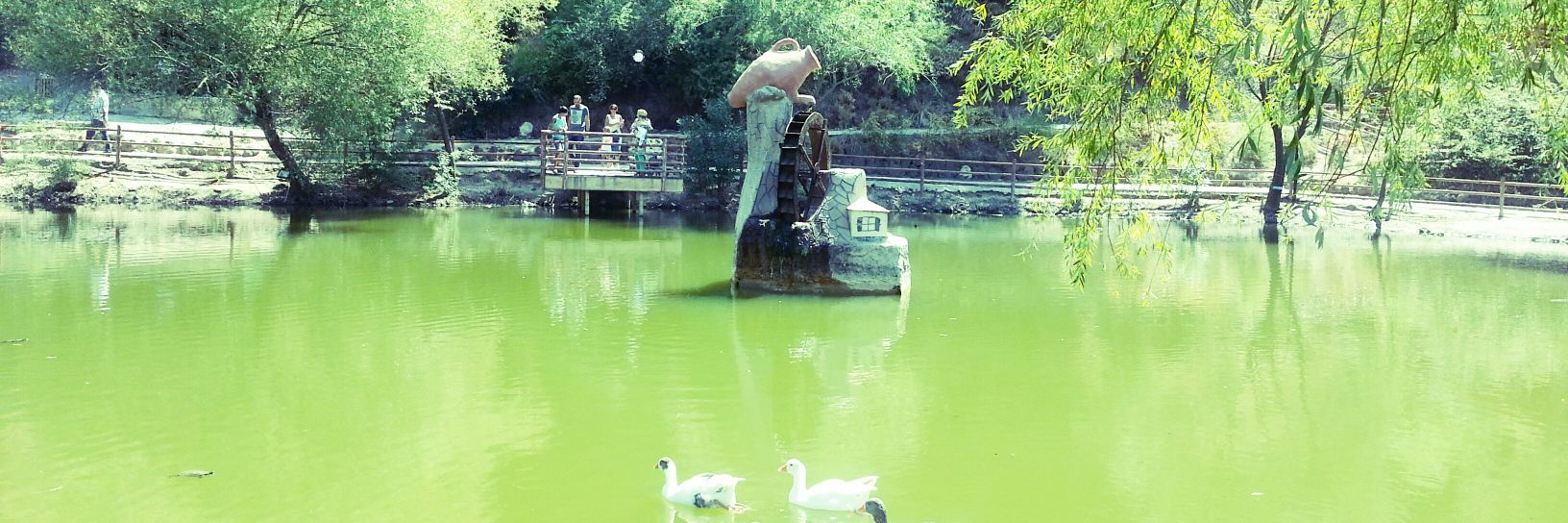 oz_lem's profile banner image