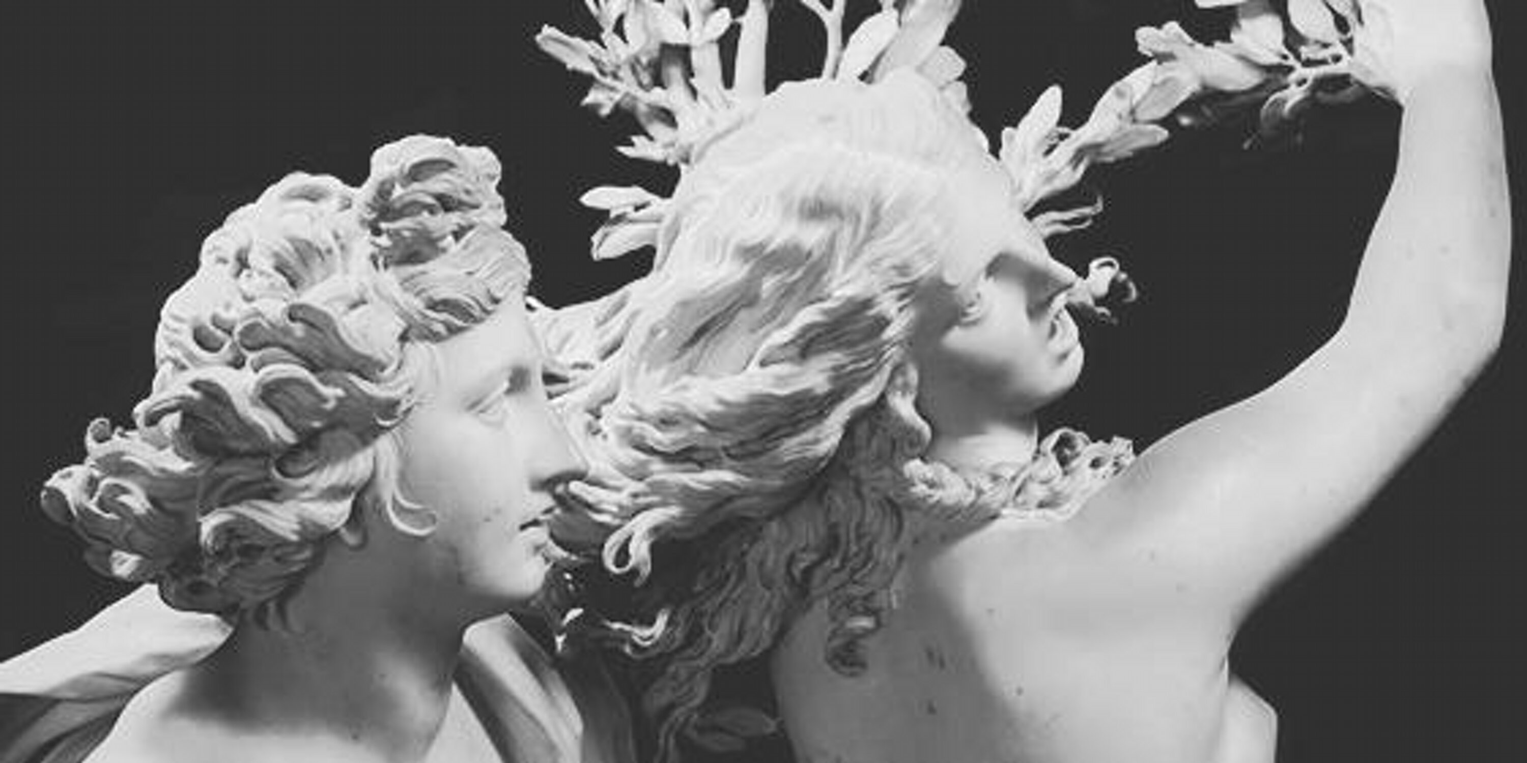 mmonstertumblr's profile banner image