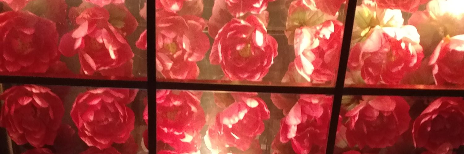 amanda_joyful's profile banner image