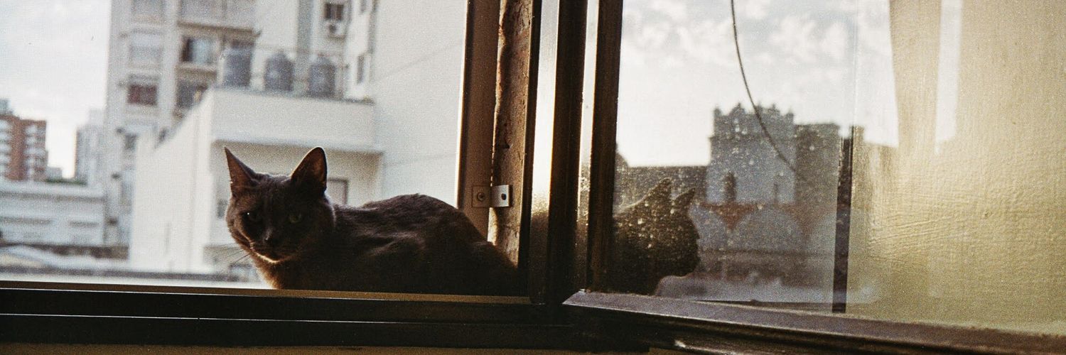 irupevera_'s profile banner image