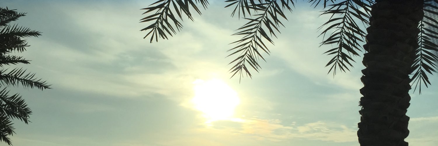 SDSLIO's profile banner image
