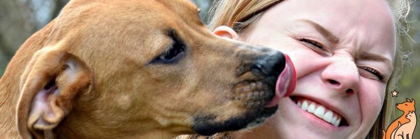 RVSPCA's profile banner image