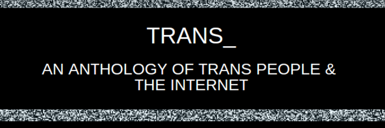 Trans_Anthology's profile banner image