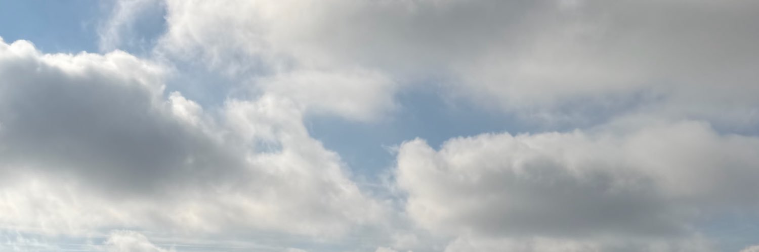 tomaszeman's profile banner image