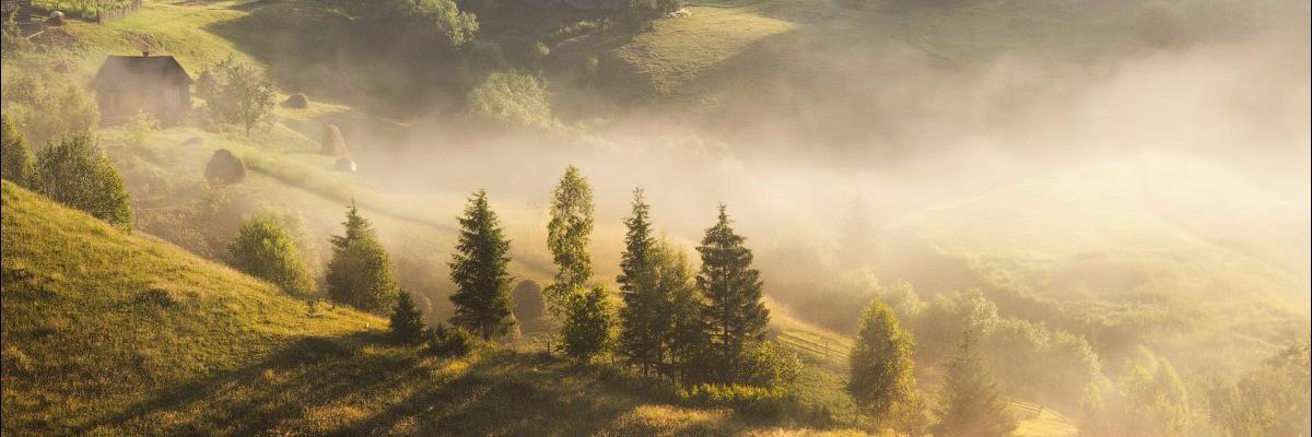 Сестра ветра banner