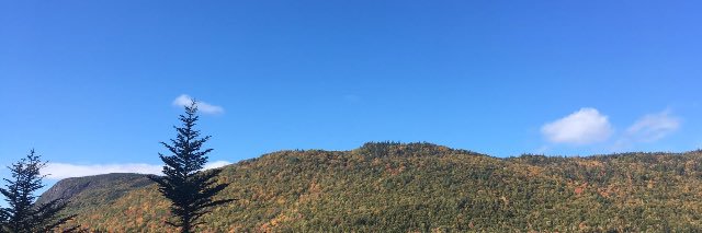 lamar #لبنان ياوجع العمر banner