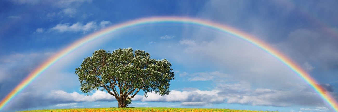 MANA🍥応援アカウント🍥 banner