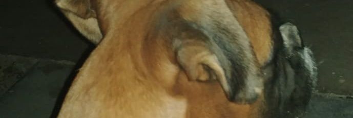 RoFritzler's profile banner image