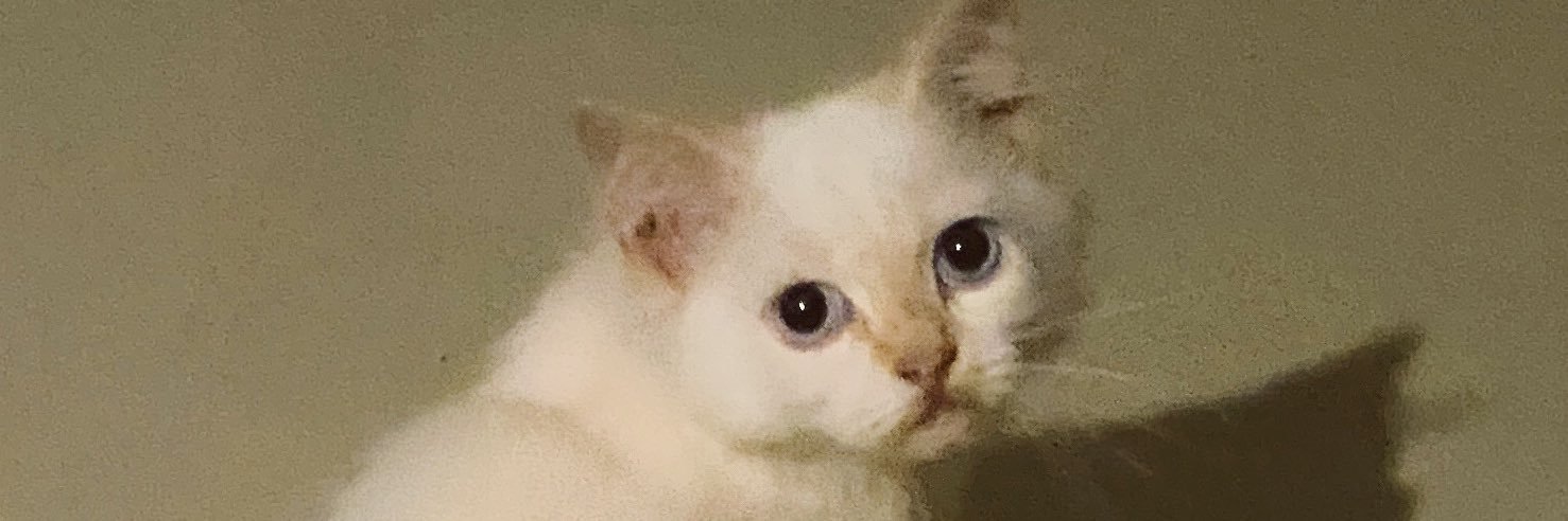 GrinRiper's profile banner image