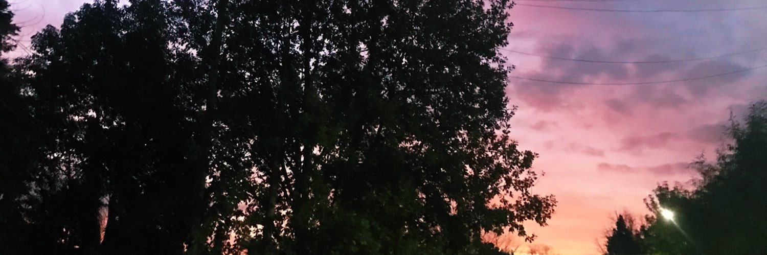cecicolombo's profile banner image