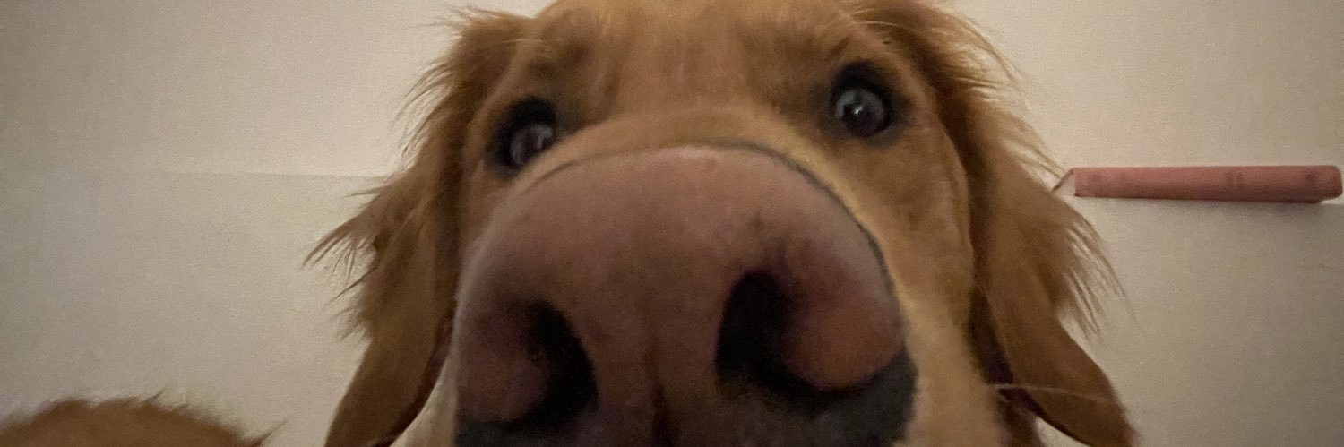 sherizzles's profile banner image