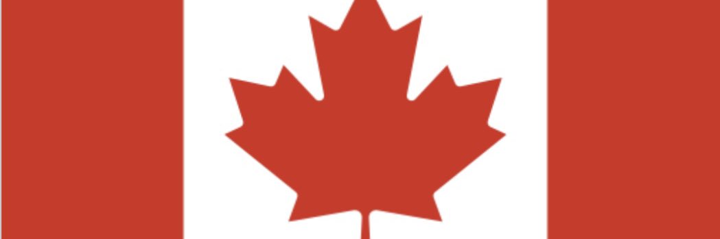 Carole MacNeil's banner