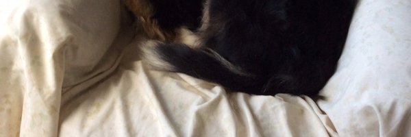 GEGESAPE Profile Banner