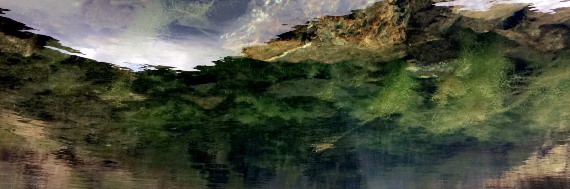 MsDJ1780's profile banner image