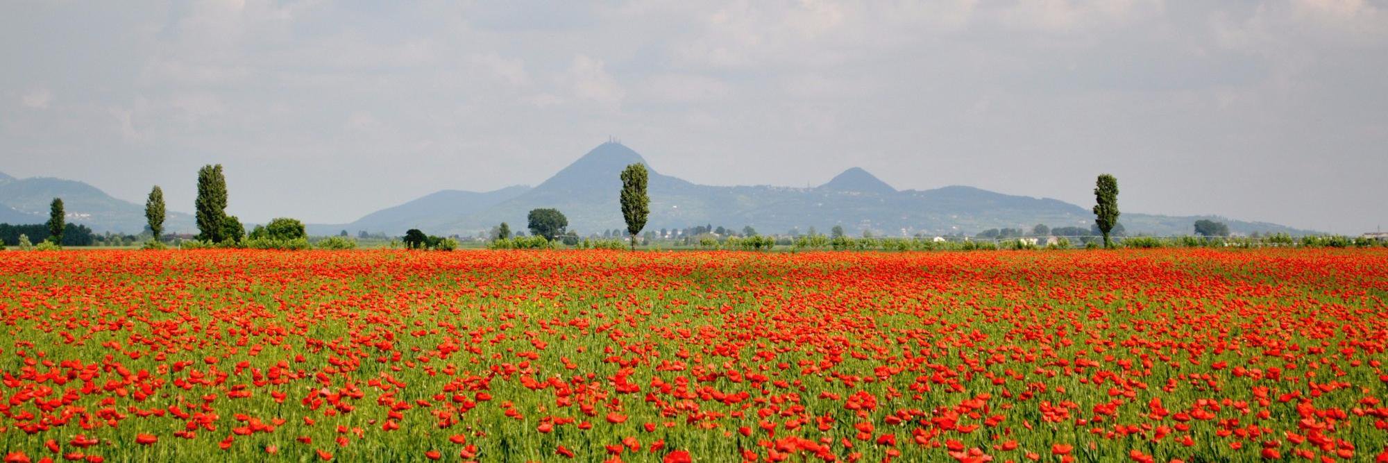 Confapi Padova banner