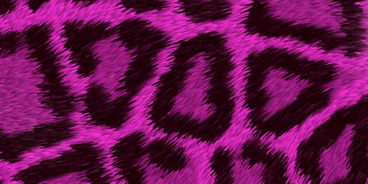 Fifa_wagers26's profile banner image