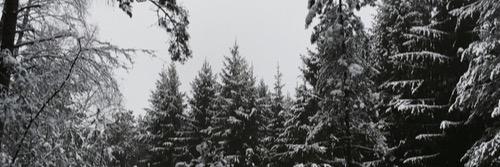MaudAriana's profile banner image