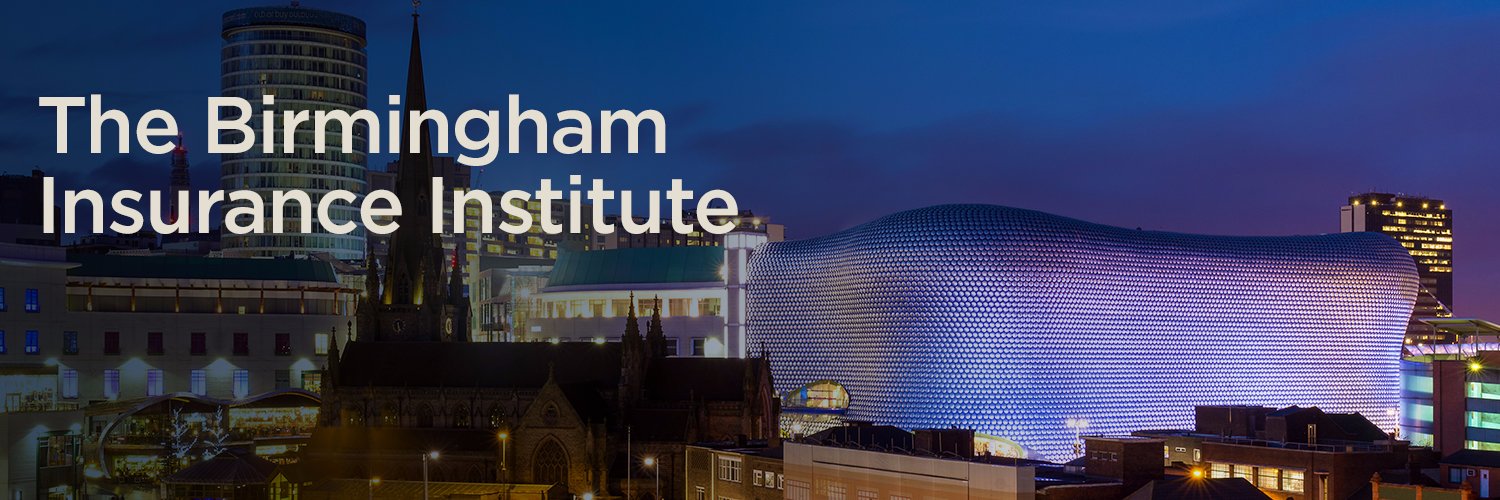 Birmingham CII banner