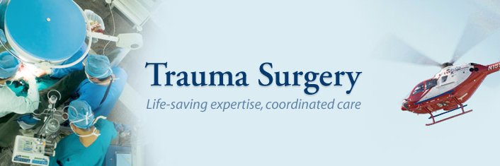 Wisconsin Trauma banner