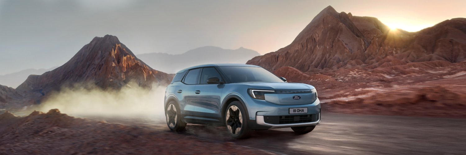 Cavanaghs of Fermoy banner