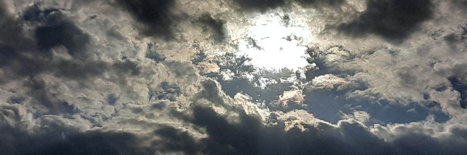 shldntbeashamed's profile banner image