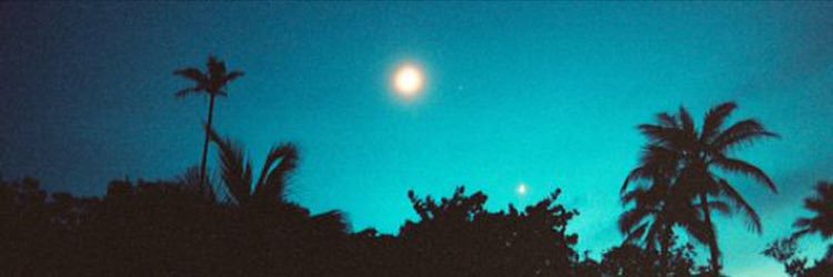 pinkpimp714's profile banner image