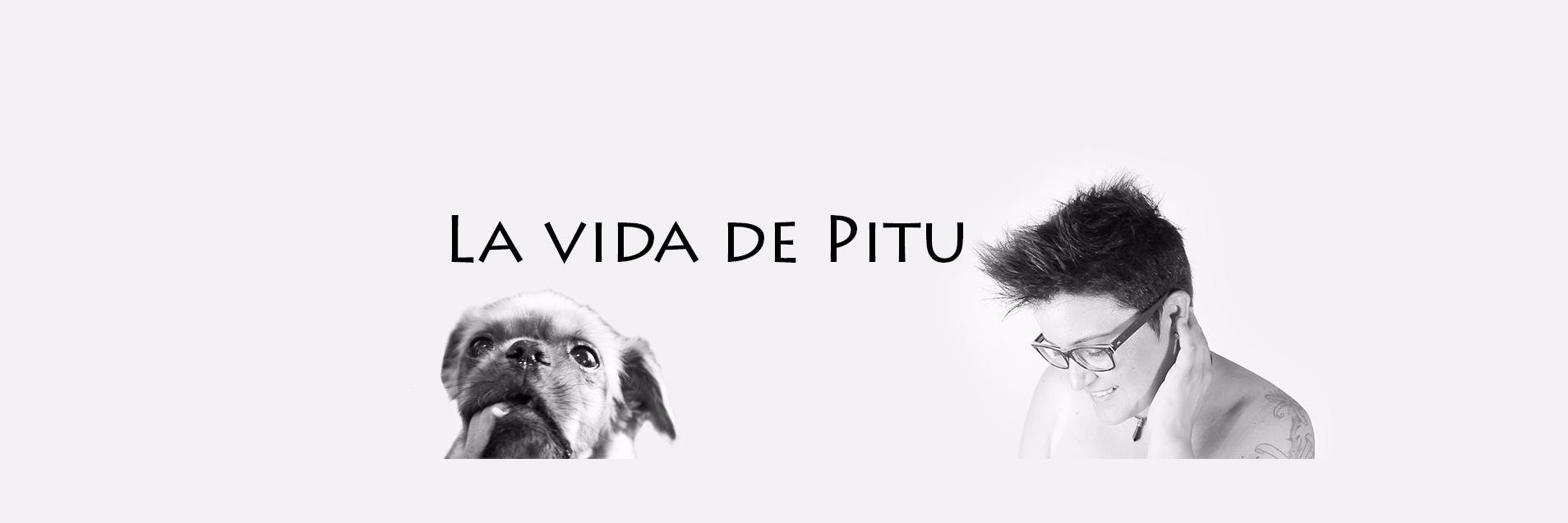 LavidadePitu's profile banner image