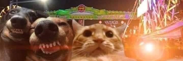 lizzp_'s profile banner image