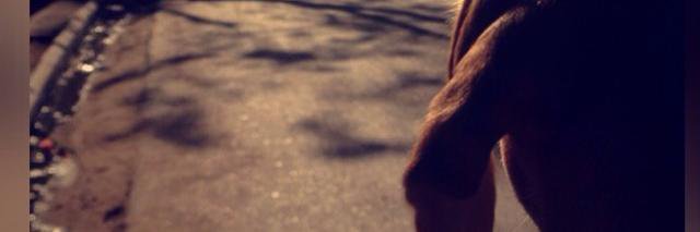 JazzyPorti's profile banner image