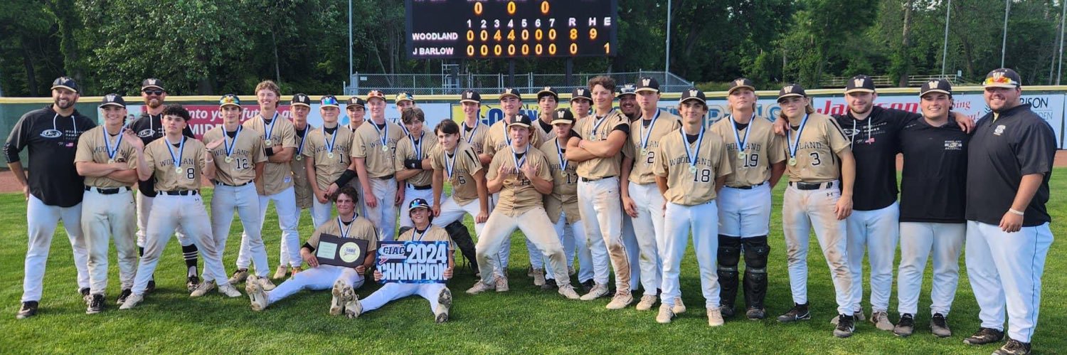 WRHS Hawks Baseball banner