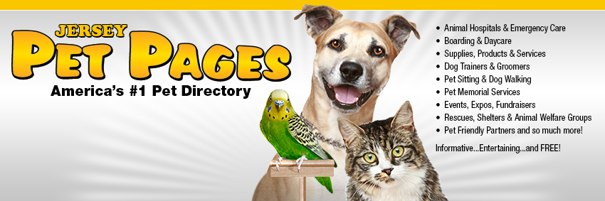 JERSEYPetPages's profile banner image