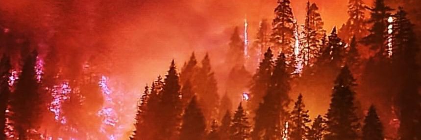 Wildfire Services (@AllRiskShield) / Posts / X