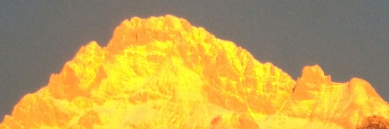 VZandanel's profile banner image
