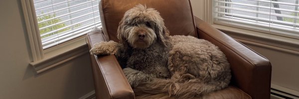 jamiecoady Profile Banner